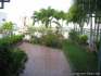 Jardin sur le toit de l'immeuble.